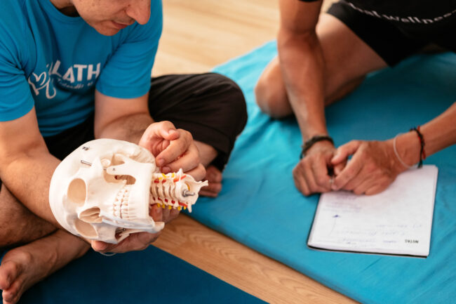 clase de anatomía cervical en clase de masaje thai